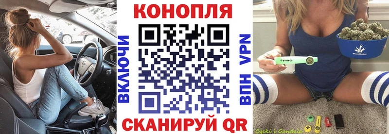 Бошки марихуана сатива  продажа наркотиков  Свирск 